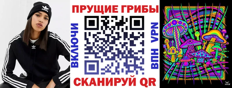 Псилоцибиновые грибы MAGIC MUSHROOMS  гидра ССЫЛКА  Вихоревка  купить  цена 
